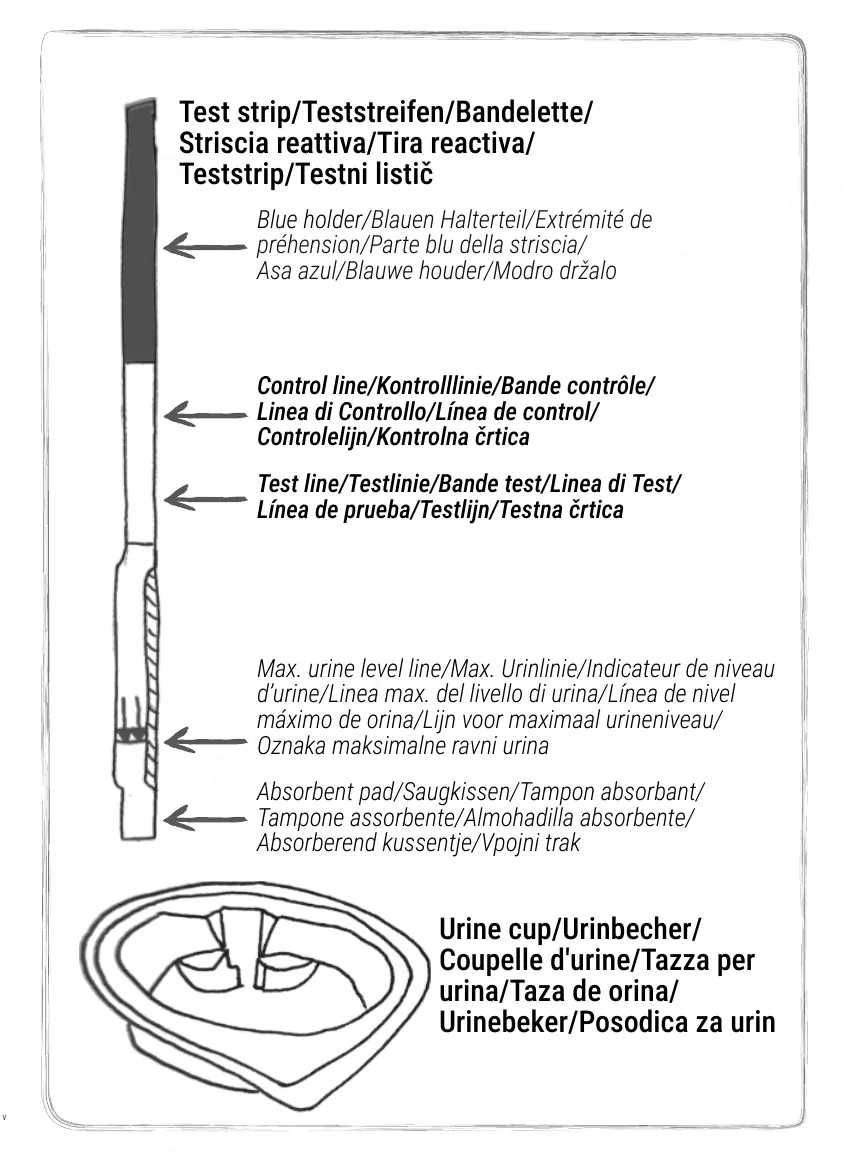 Notice d’utilisation de l’Autotest de la fonction rénale Patris Health – les éléments du kit