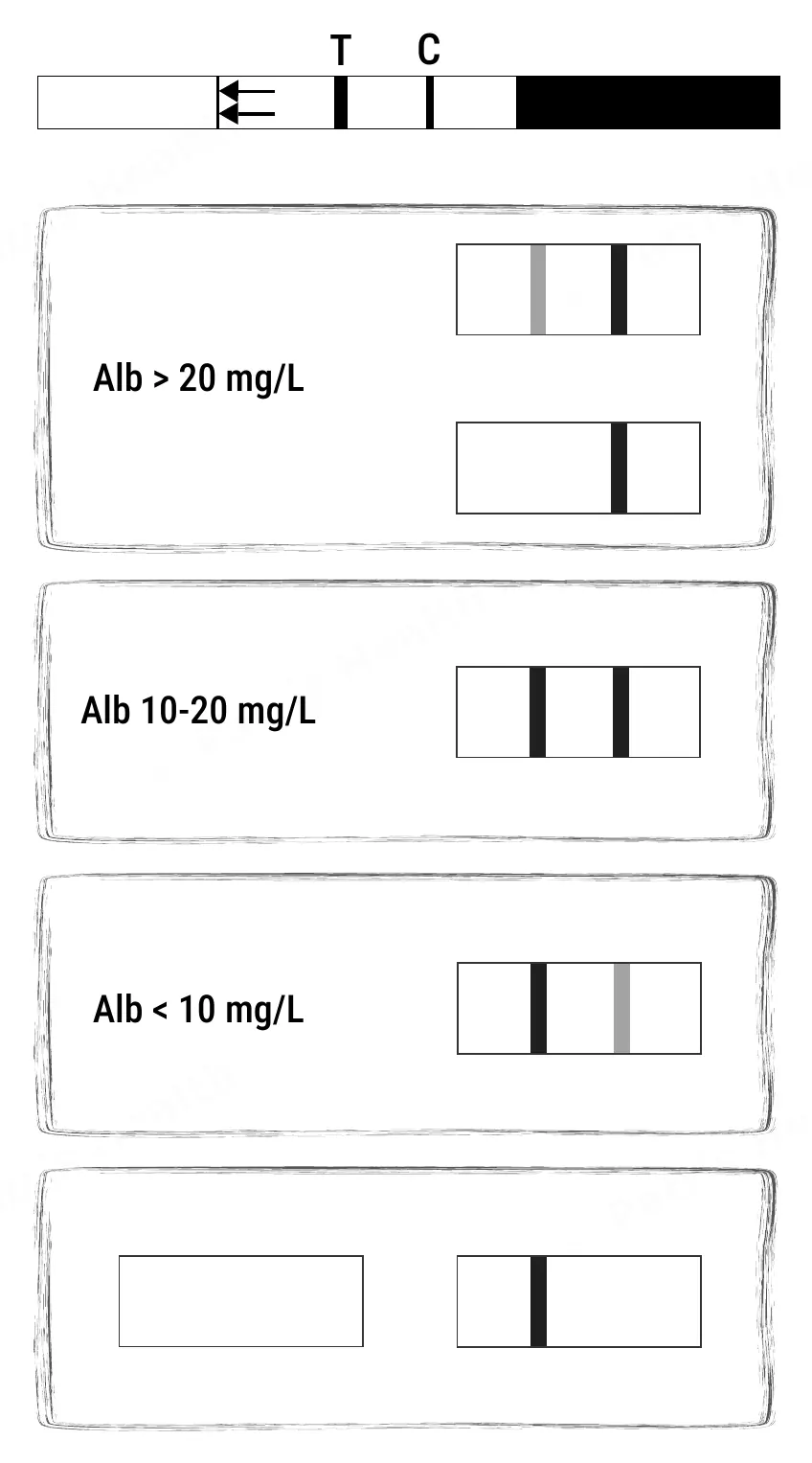 Notice d’utilisation de l’Autotest de la fonction rénale Patris Health – les résultats en images