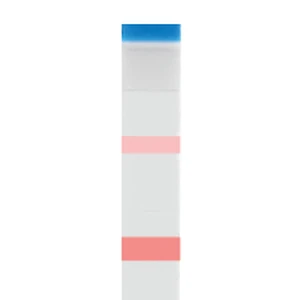 Résultat négatif – la coloration de la bande test (T) est plus forte que celle de la bande contrôle (C)