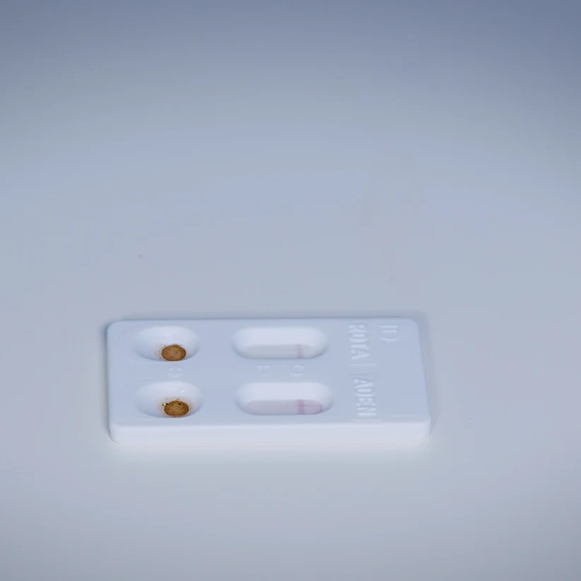 Autotest de rotavirus et adénovirus Patris Health – étape 4, cassette test avec les fenêtres de lecture ROTA et ADEN après le temps de lecture